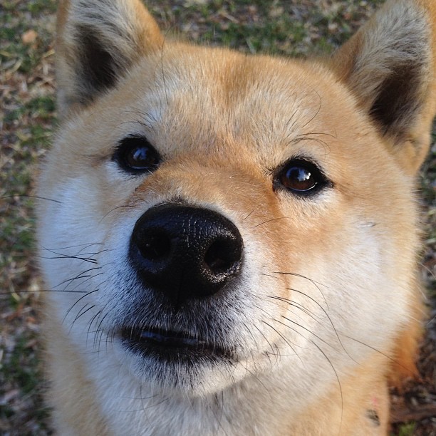 跨界合作大潮:NBA如何与娱乐、科技联手?,nba联盟跟球队老板是怎么合作的