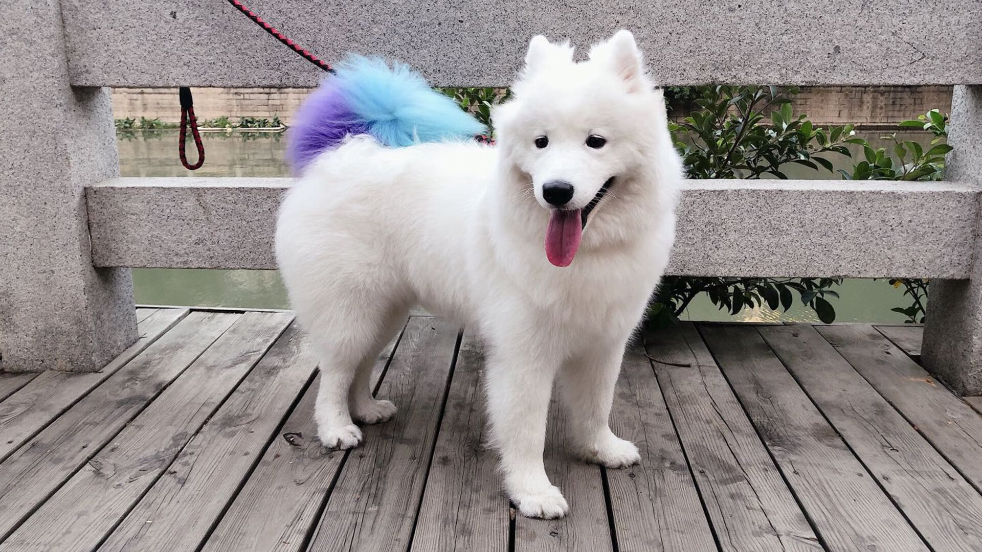 逆境中成长的冠军：迈克尔的故事，m迈克尔