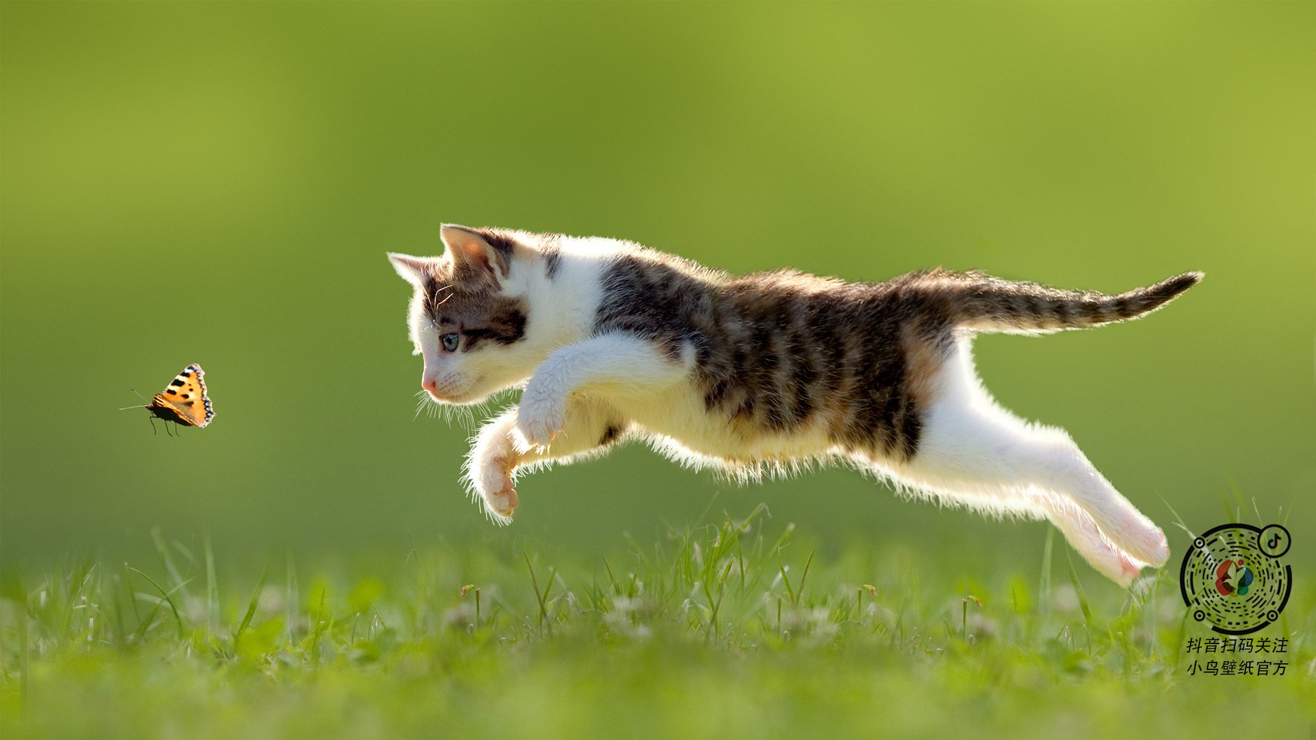 青少年“梦想助跑”公益工程在全国多地持续,助推青训全面发展