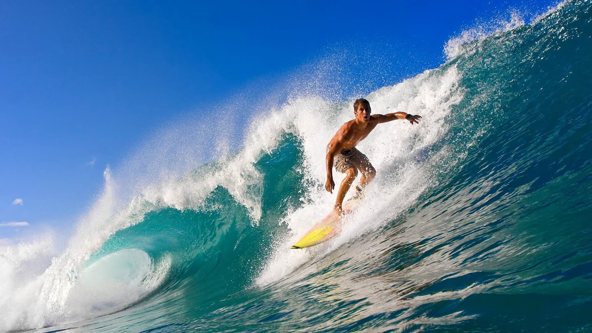 爱游戏电竞官网-Team Liquid扩展全球粉丝社群