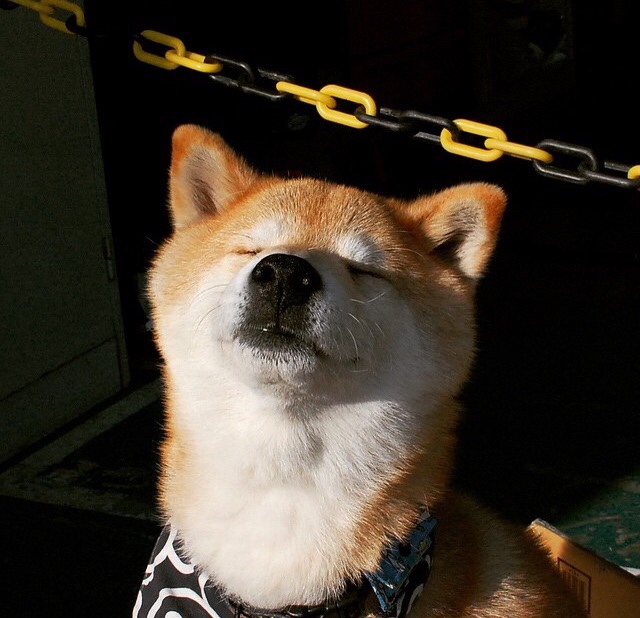 太空人疾飞,火箭队主场霸气登顶篮球巅峰,火箭队kpj