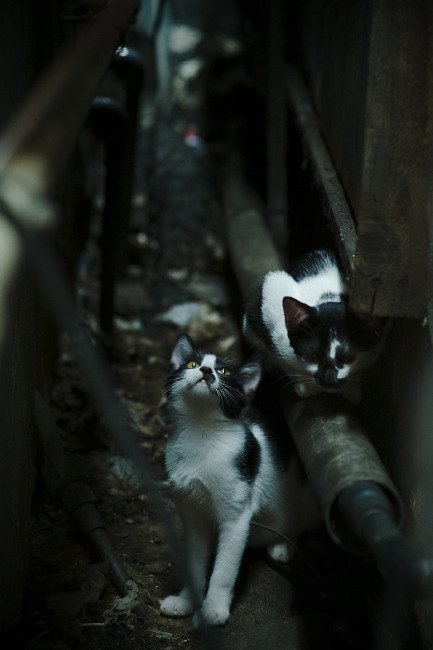 欧洲著名球队之间的较量引发球迷热议,欧洲各球队特点