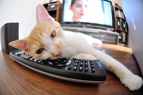 独行侠惜败湖人,全明星赛前哨战中东契奇创下生涯新高,东契奇续约独行侠