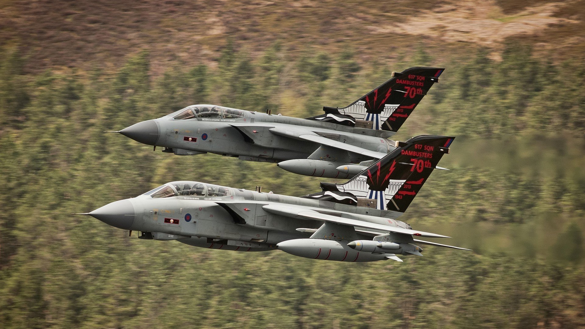 皇家马德里俱乐部签约阿根廷天才球员,引爆转会市场,皇家马德里队排名