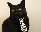 紧张激战!亚冠比赛掀起球迷热情,亚冠比赛集锦