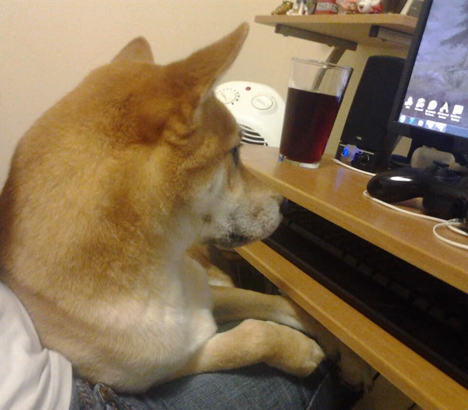 AYX SPORTS-纷纷现身赛场，欧洲国家队燃起胜利奋斗之火，欧洲国家队比赛日时间安排