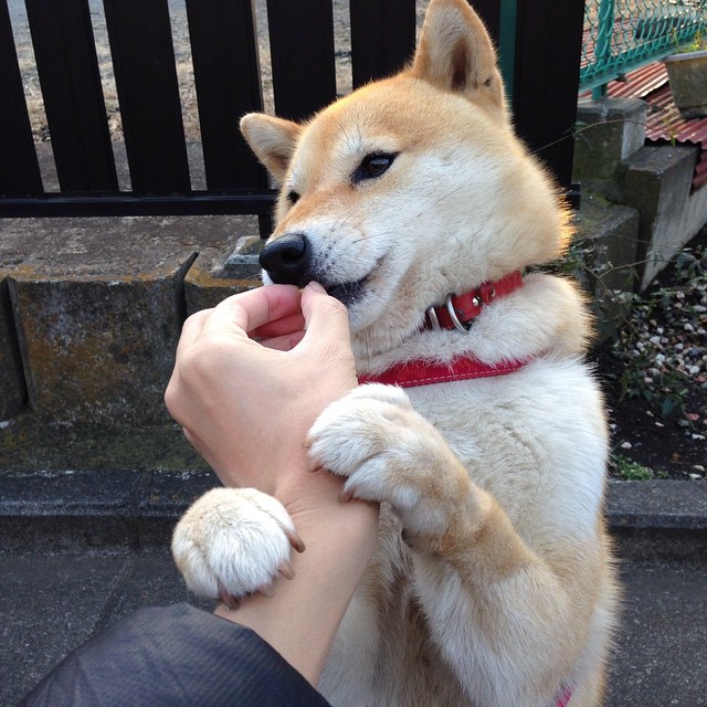 赫塔菲遭遇困境,被对手逆转失败,赫塔菲百度百科