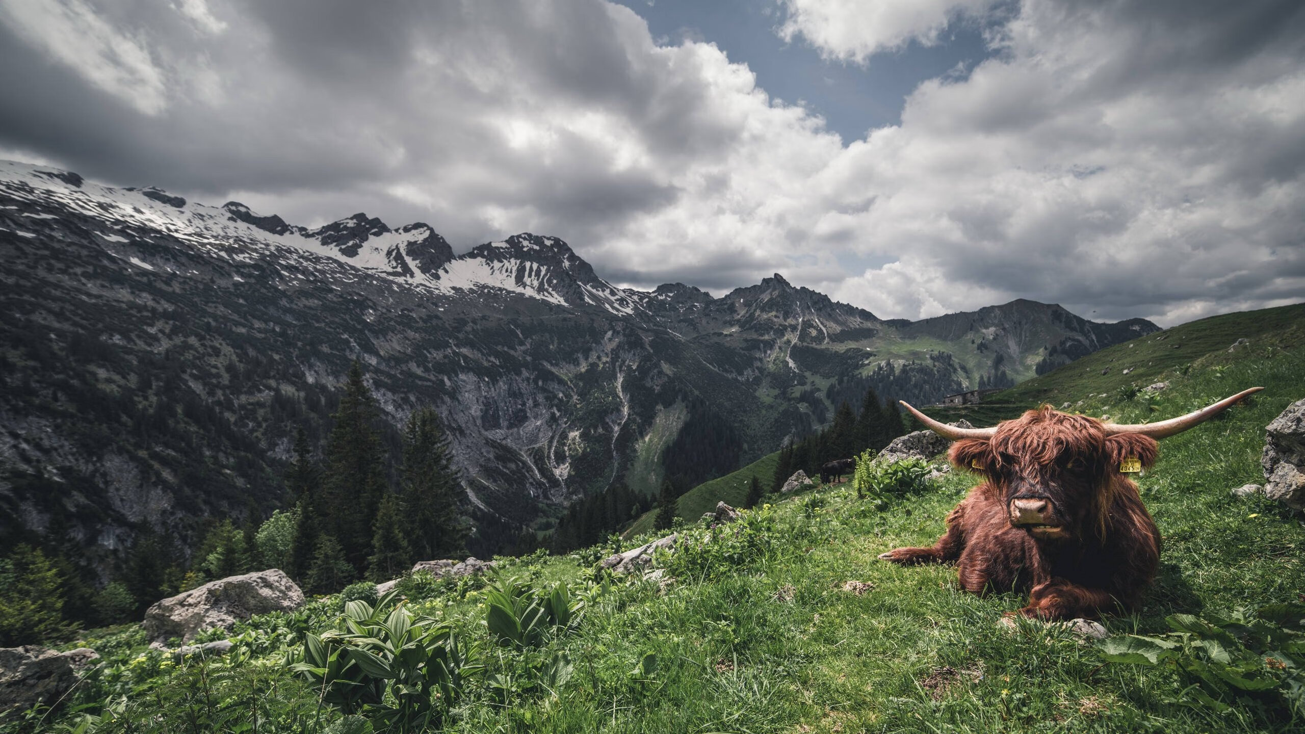 体育赛事风险管理与应急策略研究,体育赛事风险及防范措施
