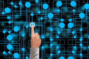 爱游戏体育（AYX）官方APP下载-冬奥会遗产利用与社会价值实现研究，冬奥会遗产战略计划