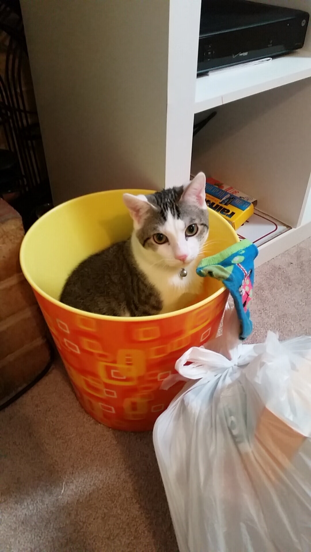 AYX GAME-德甲球员在高压阶段冲刺质量与决策效率的耦合分析