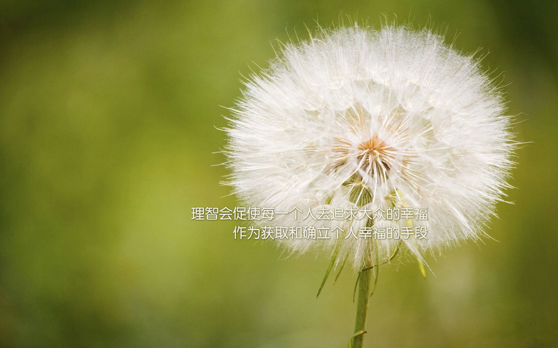 体育纪录片上线展现冠军背后的故事,体育纪录片主题