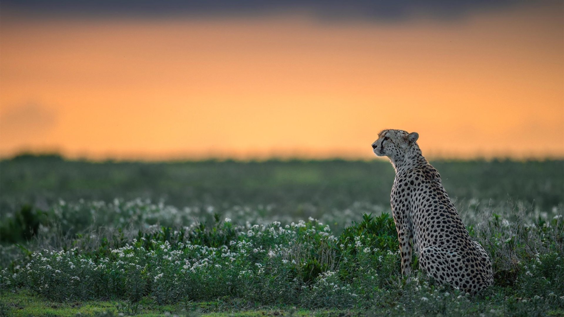 体育新闻中心联合多方共建智慧赛事生态,体育新闻赛事报道标题大全
