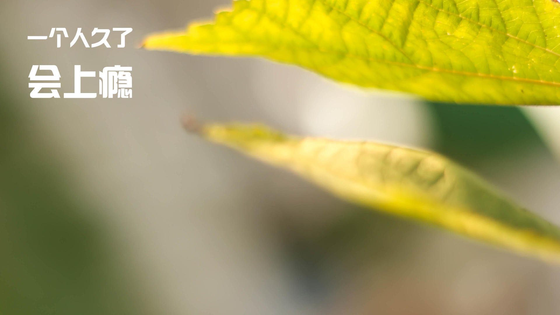 AYX体育-前15分钟高压导致三次断球+1进球