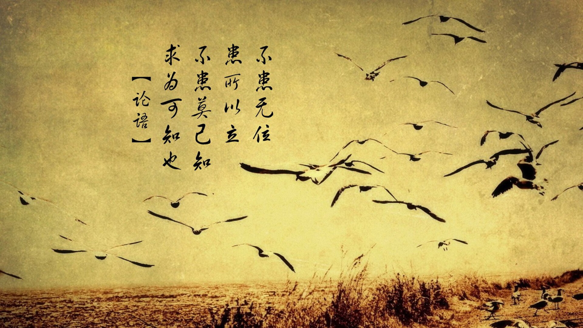 国际热身赛中国青年队逆袭 球迷热情不减,中国队热身赛结果