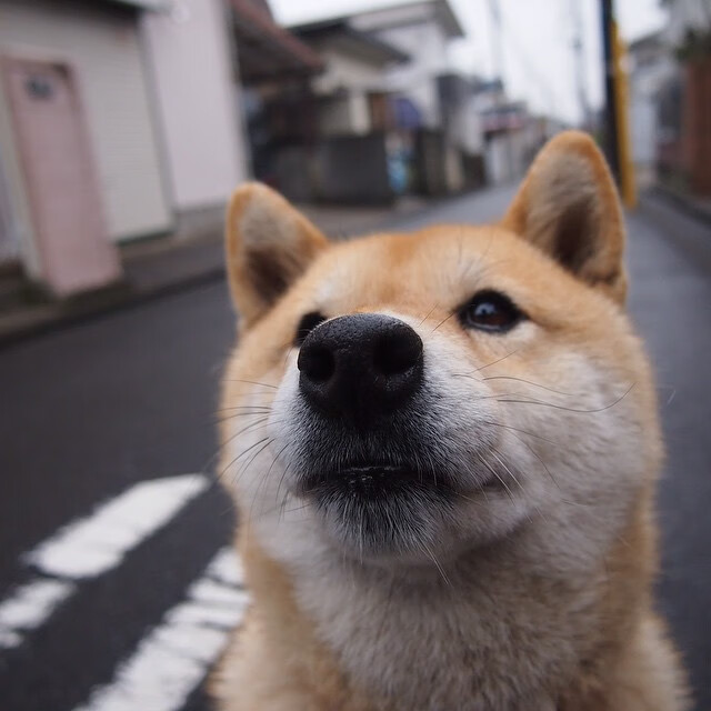 勇士核心复出促进战术改变，勇士体系