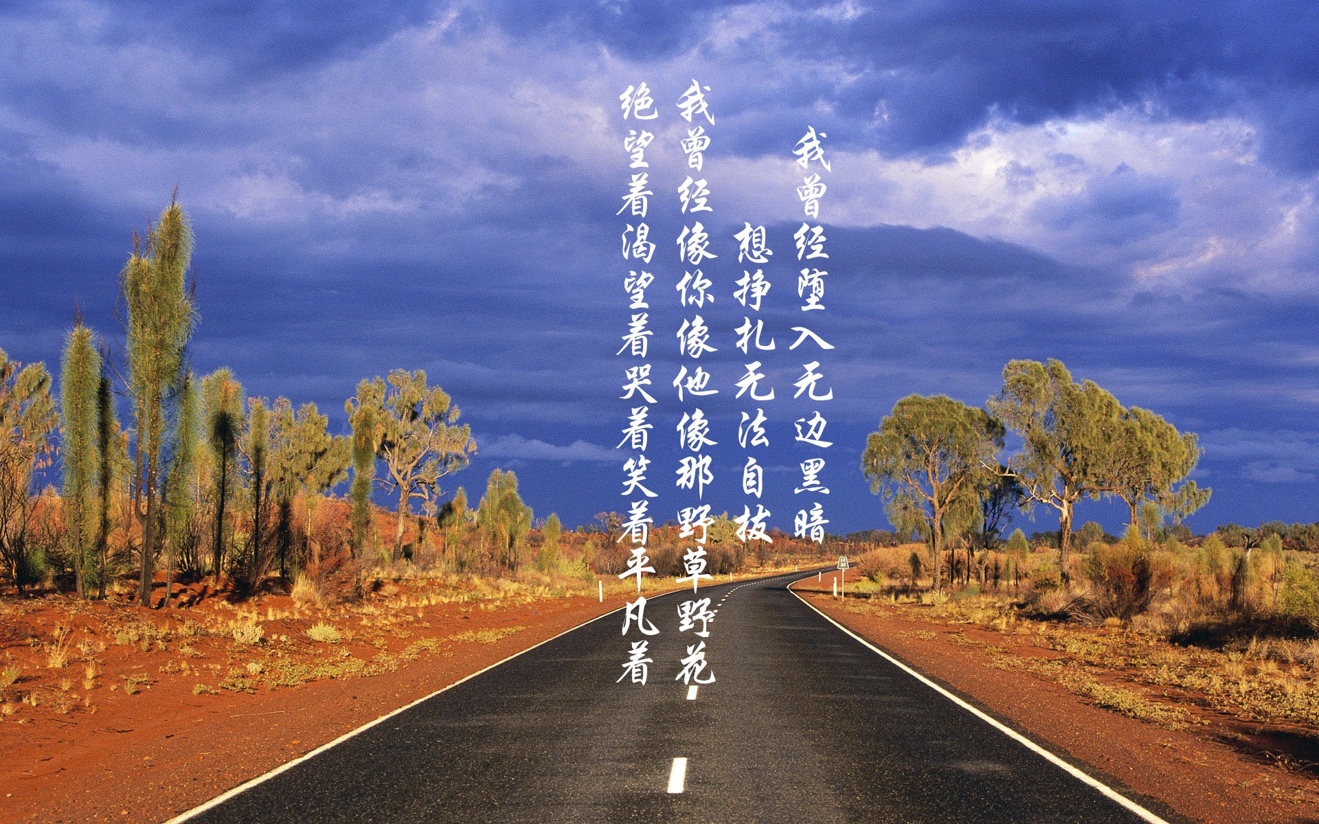 爱游戏-女子国家队战绩创新高，中国女子国家队成员