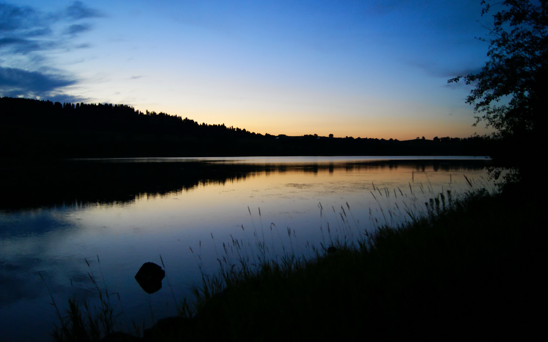 爱游戏综合娱乐-威尔士橄榄球赛事成为全球品牌合作新平台，威尔士输球