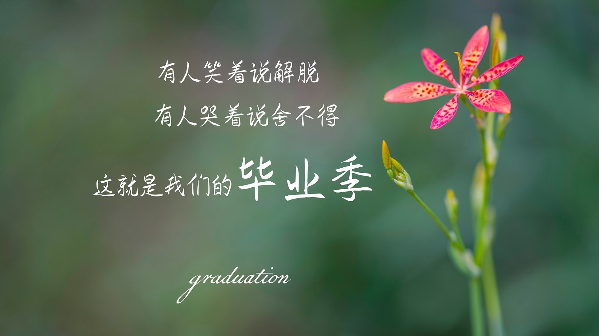 爱游戏体育-橄榄球进校园计划正式启动，橄榄球招生