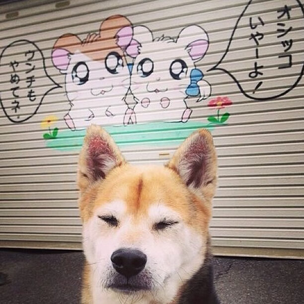 联赛推动女性管理者上岗,职业发展更具包容性,女性管理职位